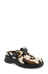 Aerosoles Fox Convertible Clog In Cow Print Haircalf