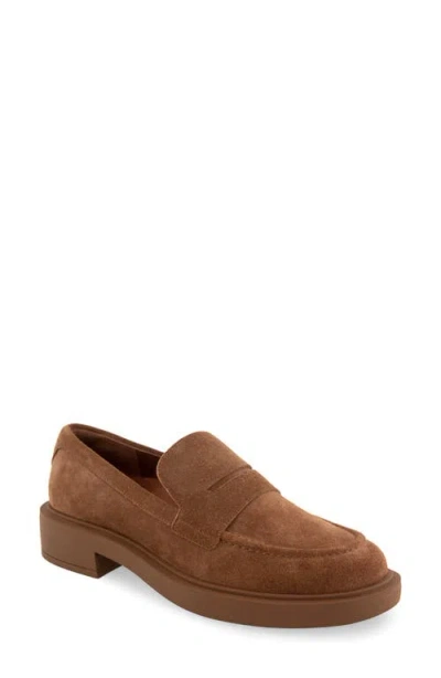 Aerosoles Gelso Loafer In Tobacco Suede