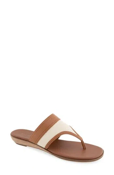 Aerosoles Gesa Canvas Flat Sandal In Brown