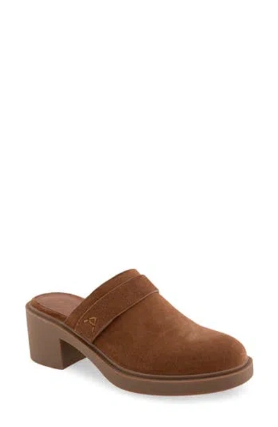 Aerosoles Gunda Mule In Brown Tobacco Suede