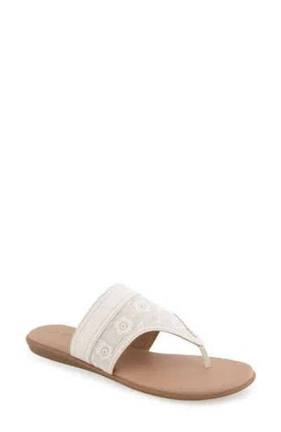 Aerosoles Illia Pointed Toe Flat In Natural/cream Floral