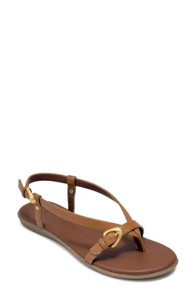Aerosoles Iride Slingback Sandal In Brown