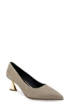 AEROSOLES AEROSOLES JERRY POINTED TOE PUMP