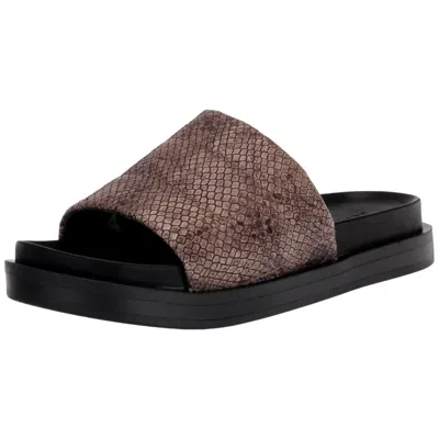 Aerosoles Leila Slide Sandal Grey Snake Leila-079 Women's In Brown