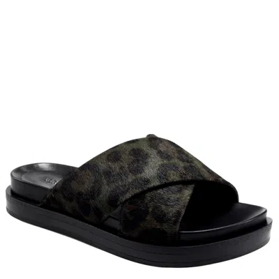 Aerosoles Linney Slide Sandal Leopard Green Linney-649 Women's In Black