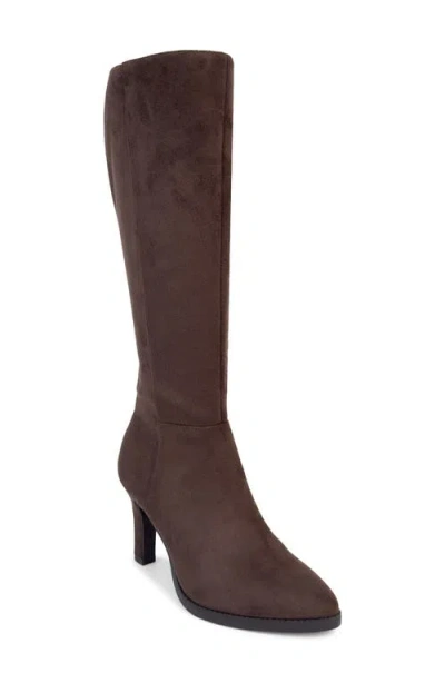 Aerosoles Lynx Tall Boot In Brown