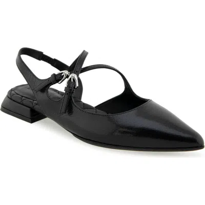 Aerosoles Napoli Pointed Toe Slingback Flat