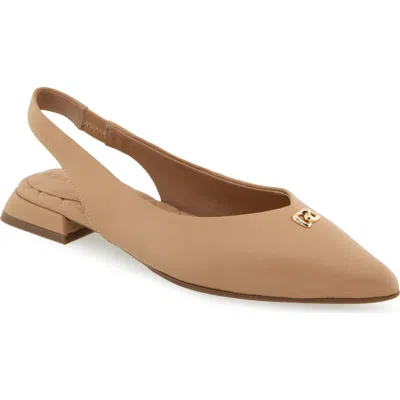 Aerosoles Nayana Pointed Toe Slingback Flat In Brown