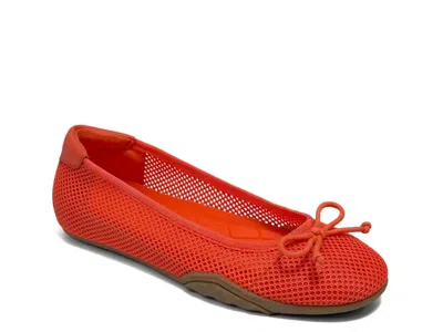 AEROSOLES AEROSOLES ONYX FLAT