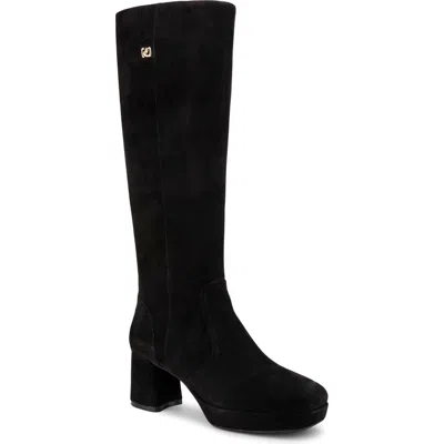 Aerosoles Syndey Knee High Boot In Black Suede