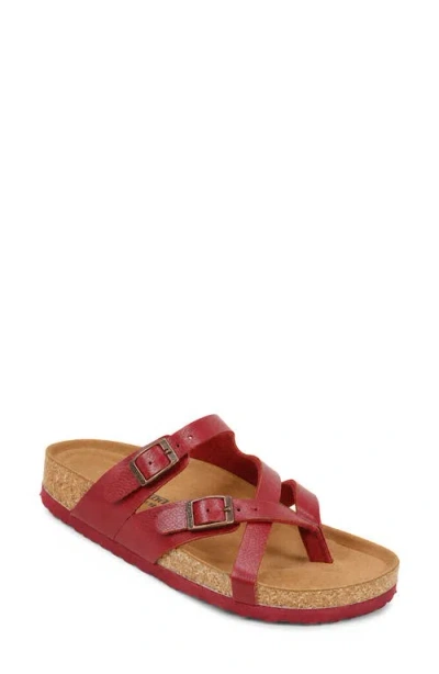 Aerothotic Celestis Slide Sandal In Multi