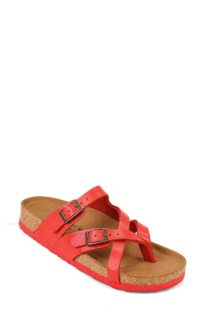Aerothotic Celestis Slide Sandal In Multi