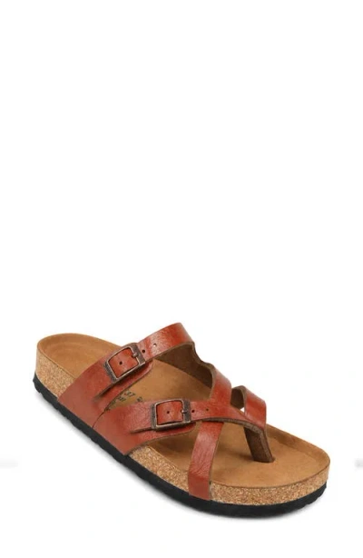 Aerothotic Celestis Slide Sandal In Multi