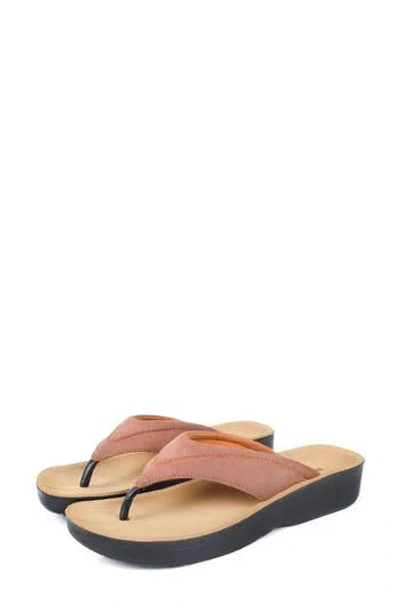 Aerothotic Tera Flip Flop In Brown