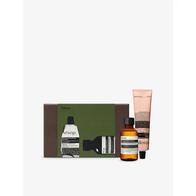 Aesop Greetings In The Guestroom Hand And Body Gift Set