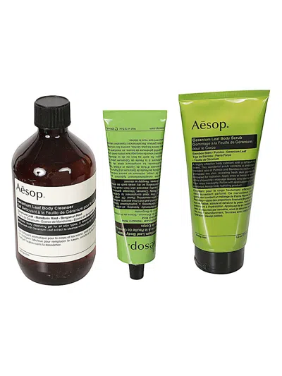 Aesop Party In The Greenhouse In Multi