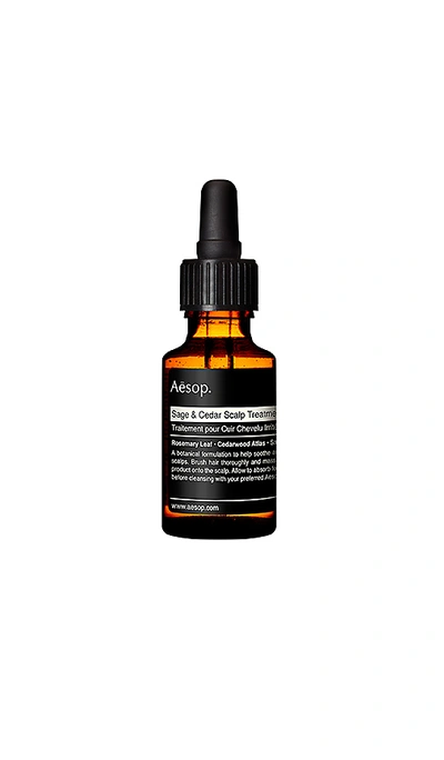 Aesop 0.8 Oz. Sage & Cedar Scalp Treatment In Colorless
