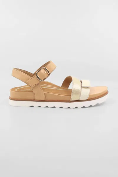 Aetrex Women's Cass Arch Support Sandals In Champagne Multi