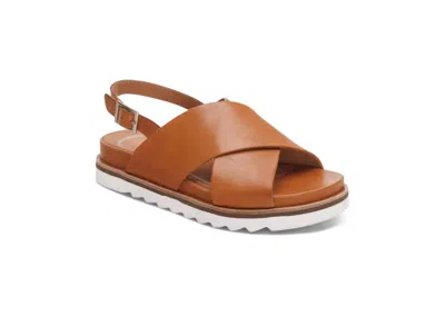 Aetrex Women's Thea Sandal In Ginger In Multi