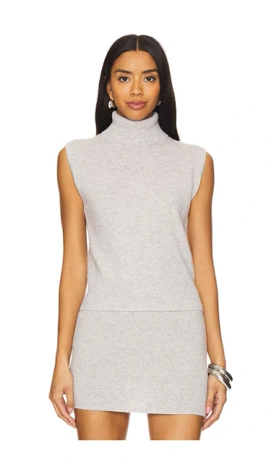 Aexae Cashmere Sleeveless Roll Neck Top In Grey