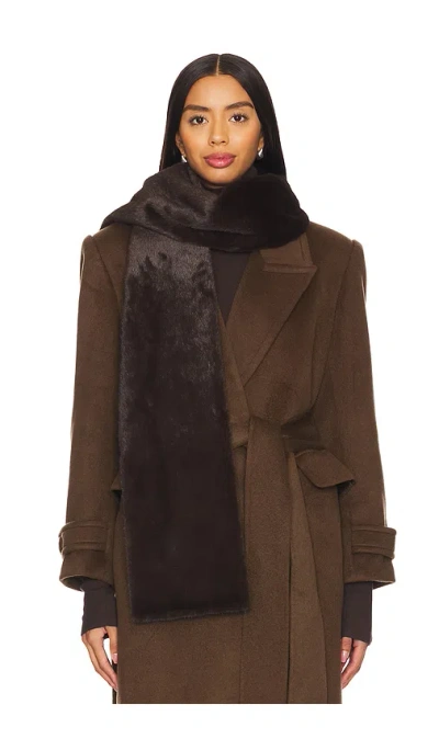 Aexae Faux Fur Scarf In Brown