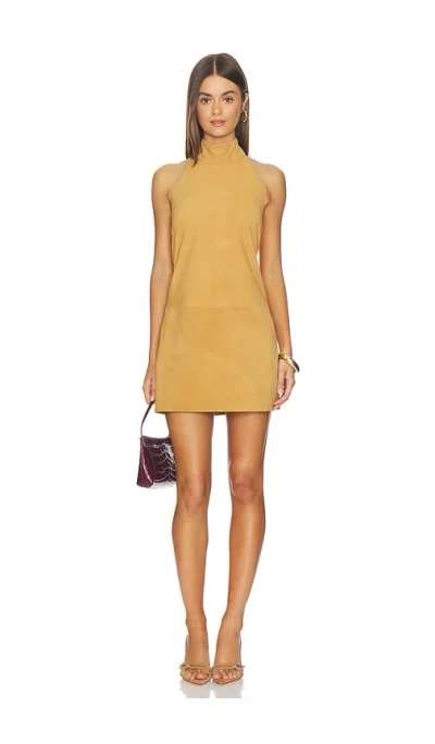 Aexae Leather Suede Mini Halter Dress In Brown