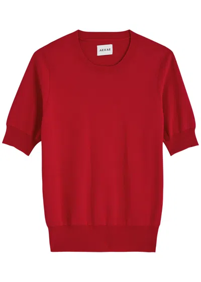 Aexae Technical Knitted Top In Red