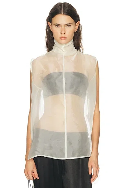 Aexae X Revolve Silk Organza Roll Neck Top In White