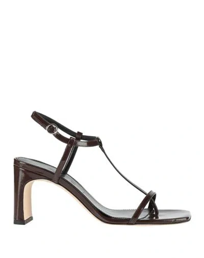Aeyde Woman Sandals Dark Brown Size 8 Calfskin