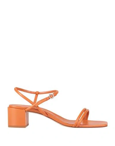 Aeyde Aeydē Woman Sandals Orange Size 11 Leather