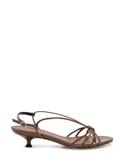 Aeyde Amara Sandals With Stylish Straps In Tobacco