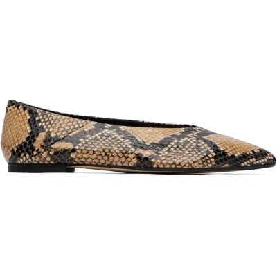 Aeyde Beige Moa Pointed-toe Ballerina Flats In Multi