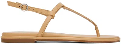 Aeyde 10mm Nala Nappa Leather Flat Sandals In Camel