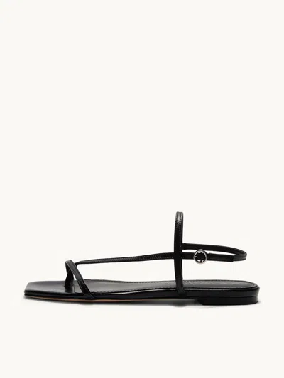 Aeyde Square Toe Sandals With Adjustable Ankle Strap In Black