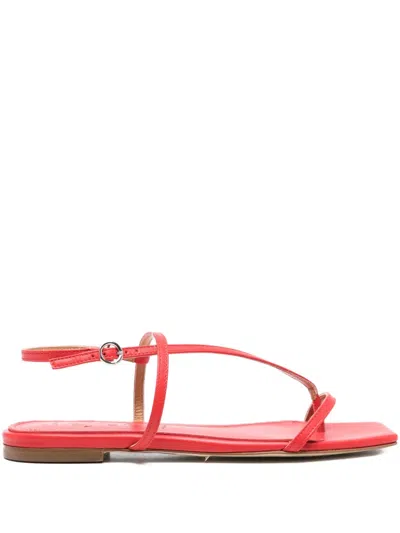 Aeyde Ella Square-toe Sandals In Red