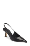 Aeyde Fernanda Leather Pumps In Black