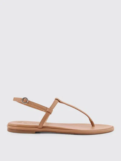 Aeyde Sandals  Men Color Brown In ブラウン