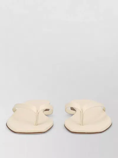 Aeyde Flat Sole Open Toe Thong Strap Sandals In Neutral
