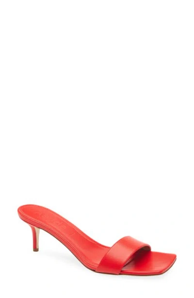 Aeyde Ilvy Slide Sandal