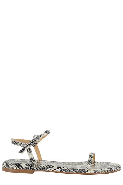 Aeyde Nettie Snake Print Goat Leather Creamy