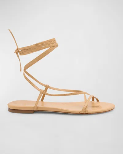 Aeyde Penny Leather Ankle-wrap Gladiator Sandals In Chai