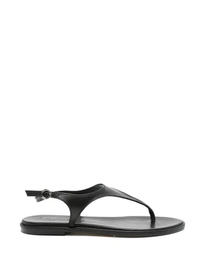 Aeyde Raine Buckle-fastening Sandals In Black