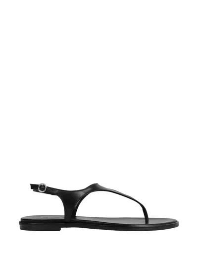 Aeyde Raine Leather Thong Sandals In Multi