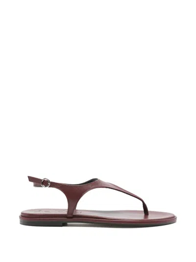Aeyde Raine Leather Flat Sandals In Brown