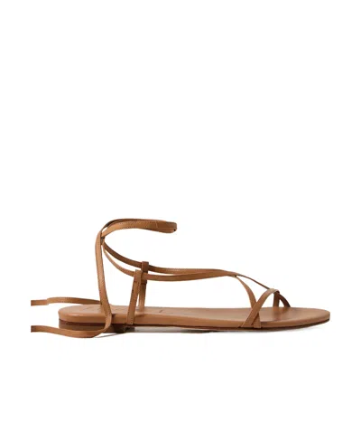 Aeyde Round-headed Flat Sandals In Brown