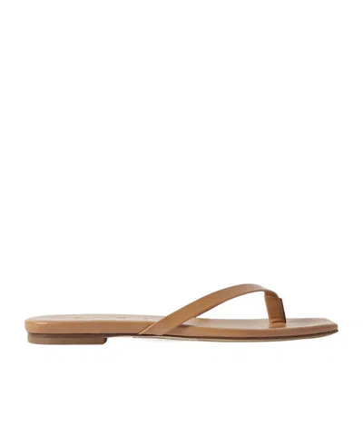 Aeyde Solid Color Leather Flip Flops In Brown