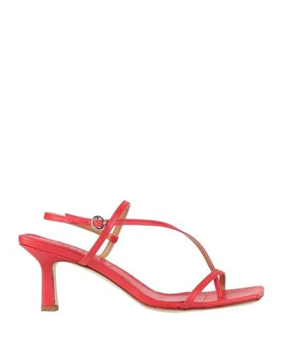 Aeyde Woman Sandals Red Size 7 Leather