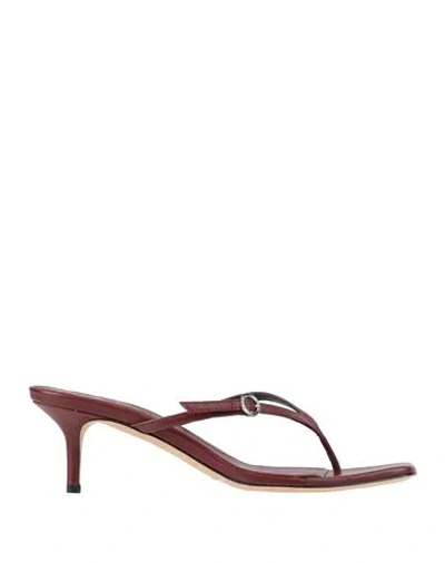Aeyde Woman Thong Sandal Chocolate Brown Size 8 Leather