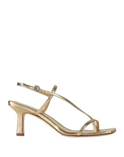 Aeyde Woman Thong Sandal Gold Size 8 Leather In Multi
