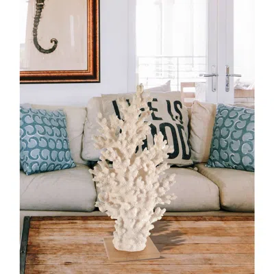 Afd White Coral With Acrylic Base Tall